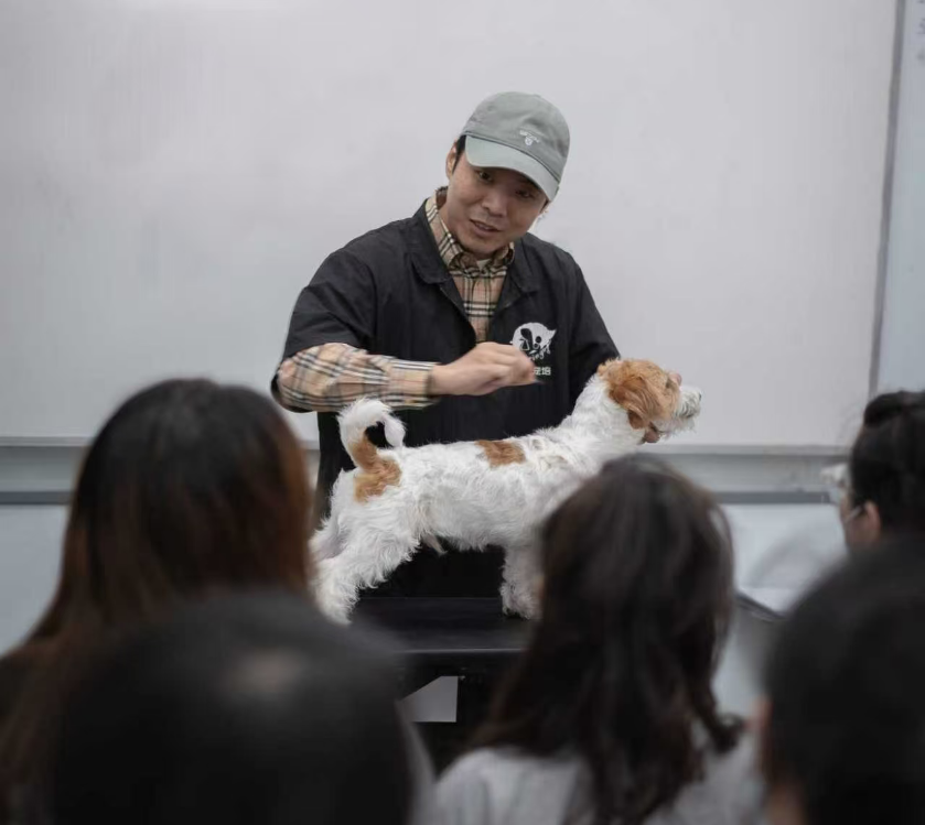 春天宠物美容培训学校李波校长授课教学场景