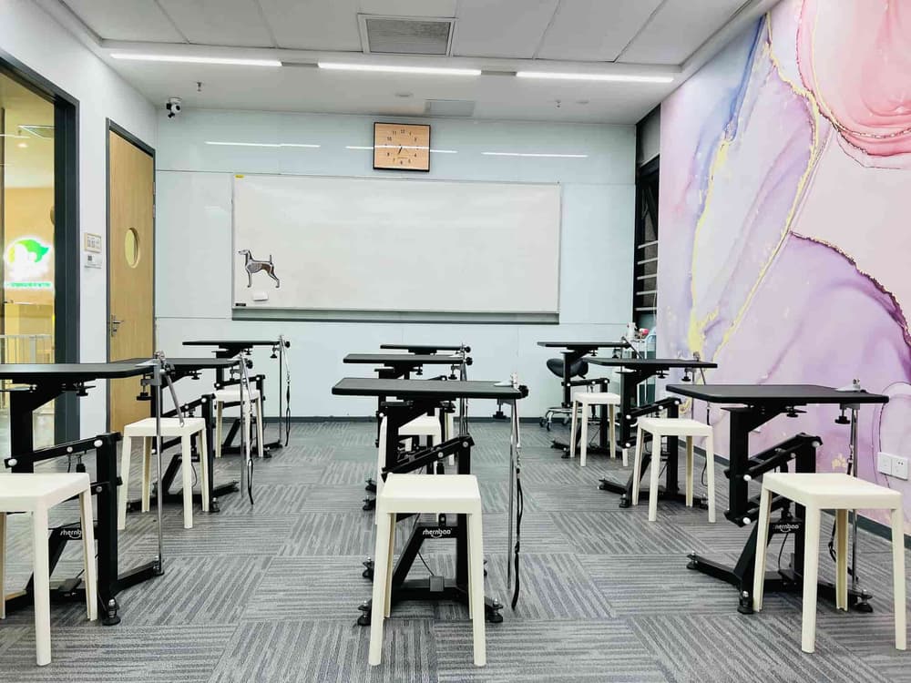 春天宠物美容师培训学校南京总校校区
